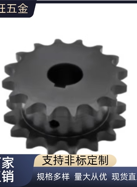 链轮 双列型 SP50SD12 13 14 15 16 17 18 19 20 21-S-N 50B系列