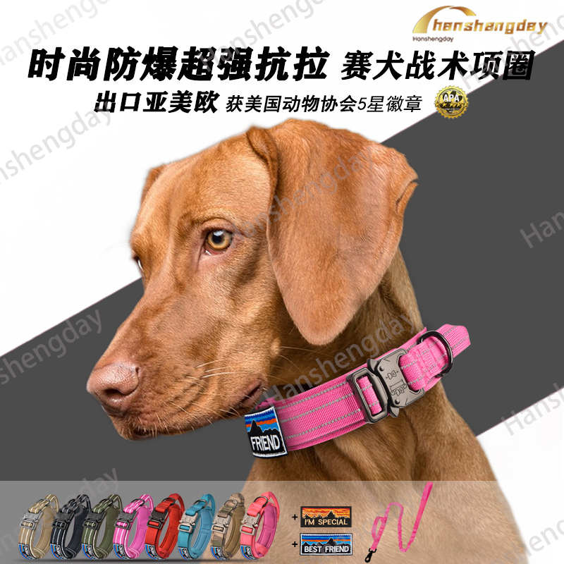 狗项圈牵引战术中大型犬脖圈狗颈圈防爆冲杜宾金毛德牧猛犬脖套