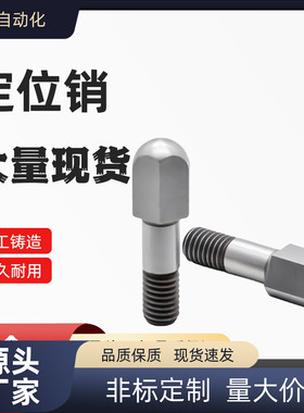 大头球面定位销JPQTBB CJPQTBB SJPQTBB6 8 10 12--L10 15 22-B