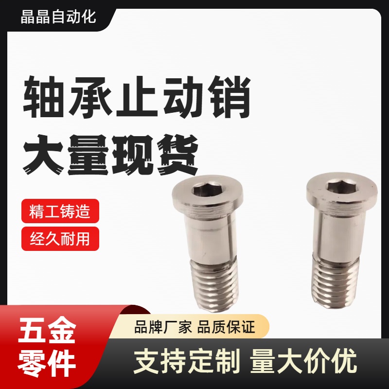 BGP BGPM 6 8 10-9 11 13 14 17-L20 L25 L30 L40 L50 轴承止动销