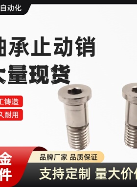 BGP BGPM 6 8 10-9 11 13 14 17-L20 L25 L30 L40 L50 轴承止动销