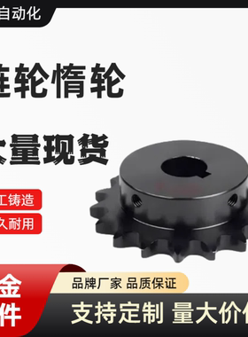 08A40B传动链轮SP40B9 10 11 12 13 15 20 25 30 VLF02-40成品孔