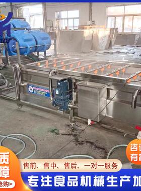 厂家供VMH应甜瓜洗水果黄瓜洗机 型全自动蔬清洗机 气大泡清式菜