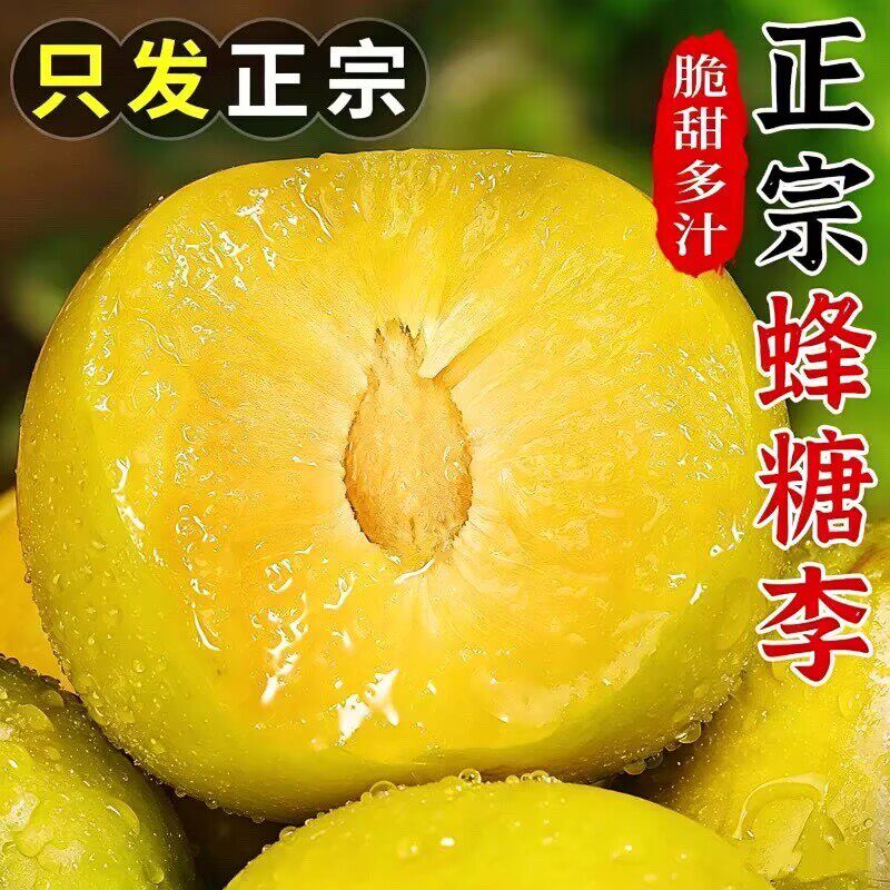 正宗贵州安顺六马蜂糖李5斤果园脱骨李甜脆李子贵州特产包邮
