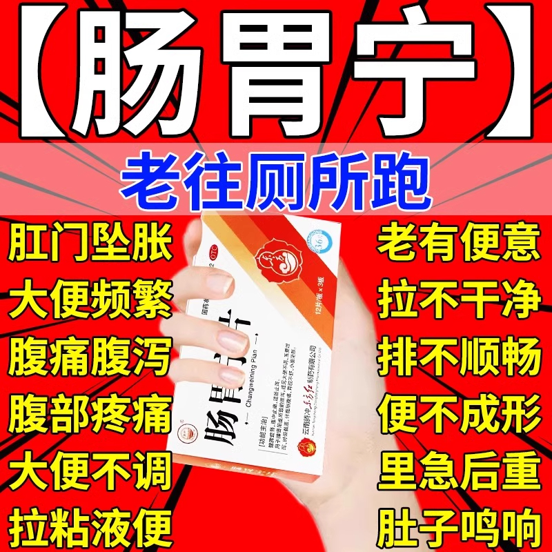【四方箄】肠胃宁片300mg*48片/盒