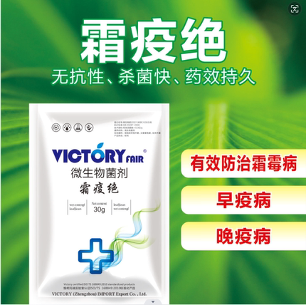 霜疫绝微生物菌剂 霜霉早晚疫一袋一壶水粉剂