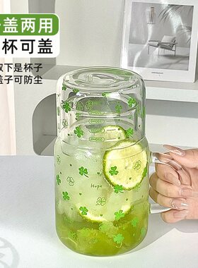 一人泡茶壶高硼硅玻璃水壶家用冷水壶带盖耐高温可微波咖啡牛奶杯