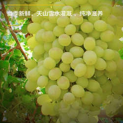 【顺丰/京东空运】新疆阿图什木纳格葡萄冰川翡翠水晶葡萄 多仓发