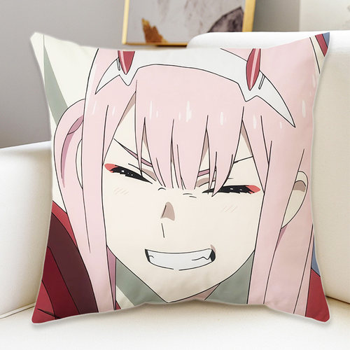 国家队02抱枕双面可定制不加价