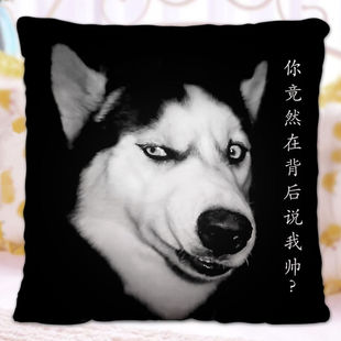 哈士奇滑稽搞笑抱枕二哈照片来图订做定制双面方枕头学生创意礼物