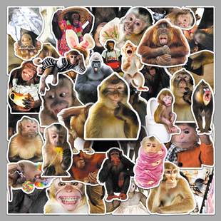 100张疯狂的猴子吗喽贴纸创意搞笑沙雕装饰文具盒手机表情包贴画
