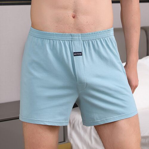 4X Men's boxer briefs loose men boxers underpants under