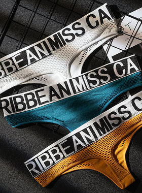 Women Panties Sexy Underwear G-String Thongs Panty Seamless