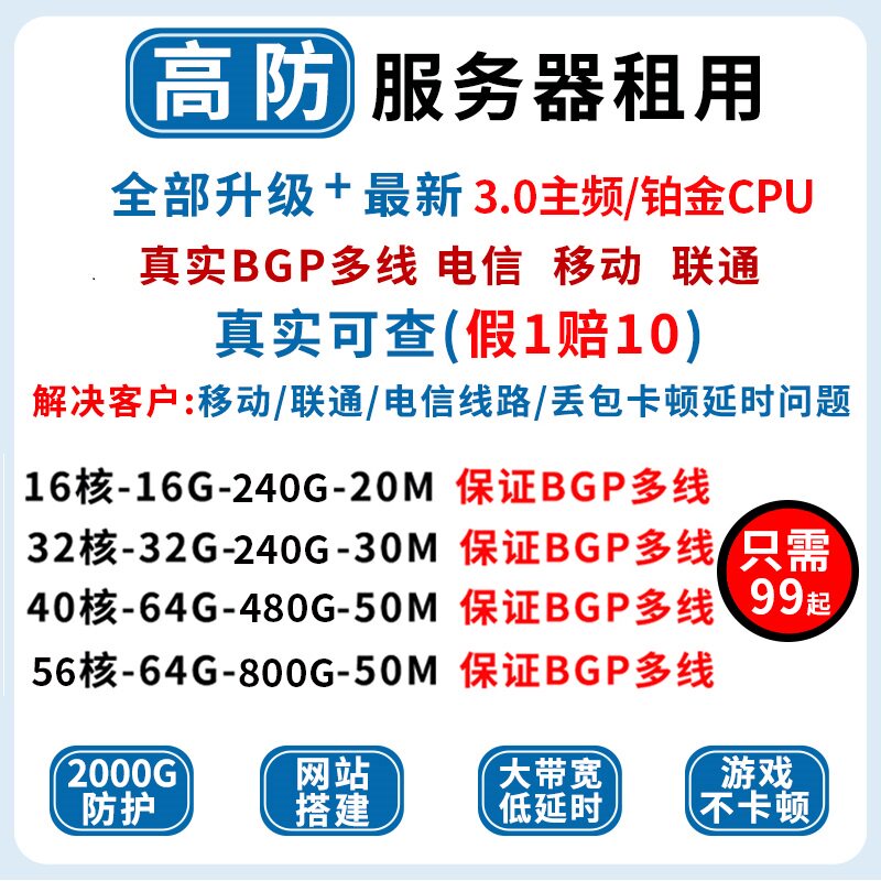 服务器租用BGP多线高防云vps铂金物理机游戏传奇幻兽帕鲁独享带宽