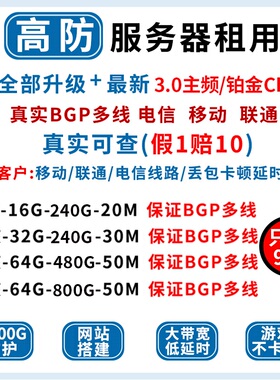 服务器租用BGP多线高防云vps铂金物理机游戏传奇幻兽帕鲁独享带宽
