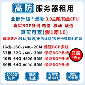 服务器租用BGP多线高防云vps铂金物理机游戏传奇幻兽帕鲁独享带宽