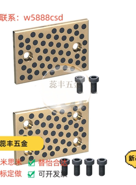 自润滑滑板-铜合金10mm2/4螺栓孔型-STW28-75/38-100 STWT100-100