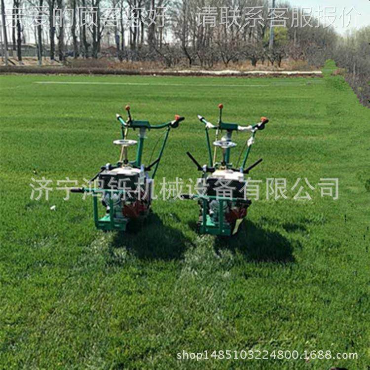 加型起草皮机 皮后双轮手重扶汽油起269草皮机 c0m手扶起草机