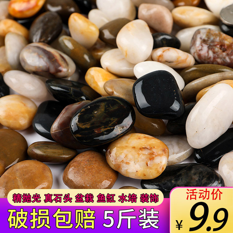天然雨花园林小路大小石鹅卵石庭院道路石头铺地石鱼缸鹅软五彩石