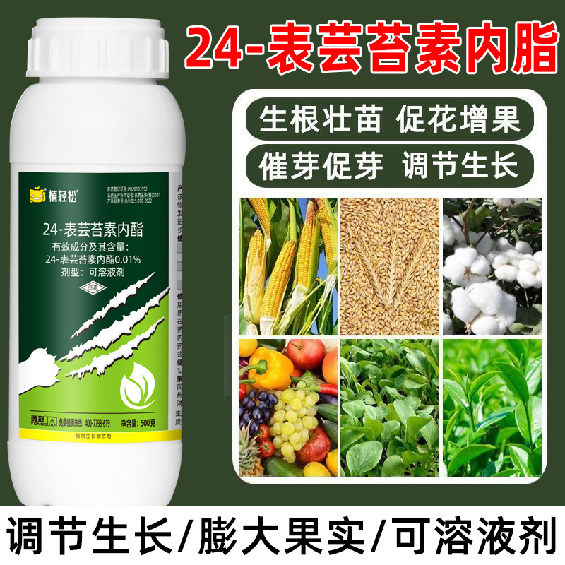 芸苔素内脂内酯云台素