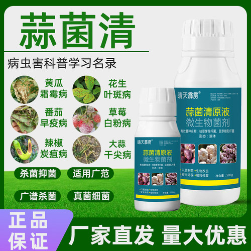 蒜菌清原液大蒜干尖黄叶防治药蒜苗促进生长抑制病菌微生物菌剂