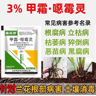兰花黄叶干尖常用药兰花黑斑病烂根软腐茎腐病黄叶焦尖农用杀菌剂