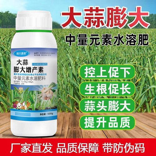 大蒜膨大素膨大剂大蒜地下膨大猛长抗病抗逆膨大生根壮苗水溶肥料