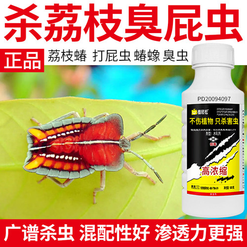 荔枝臭屁虫药高效氯氟氰菊酯蛀虫蝽象蛀蒂虫农用农药杀虫剂