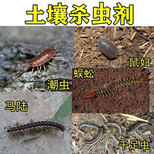土壤杀虫剂植物盆栽土壤地下害虫杀虫药养花室内花盆杀虫药