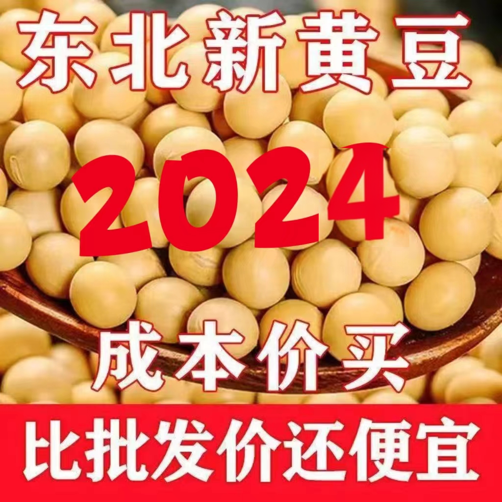 东北黄豆打豆浆专用非转基因2024新大豆小农家干土黄豆生5斤