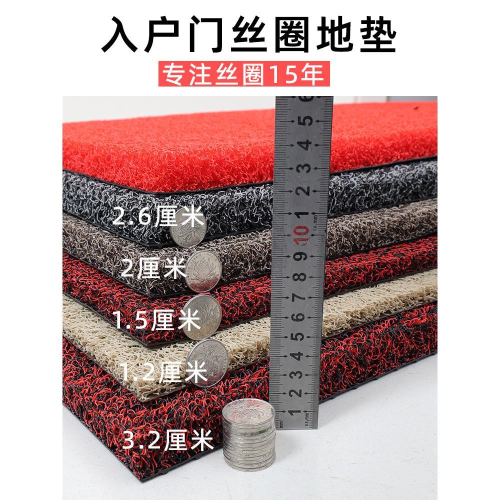 丝圈地垫室外家用脚垫入门门厅进门入户蹭泥土门口防滑地毯可裁剪