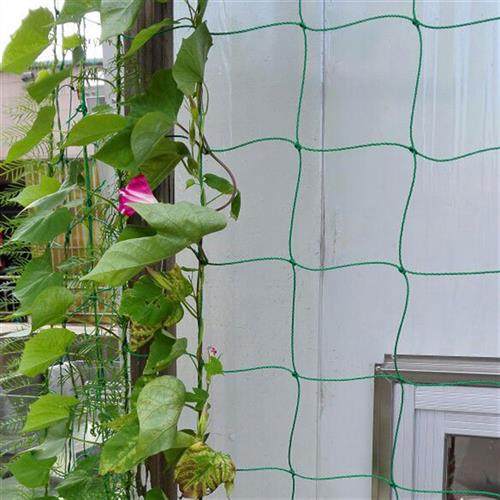 植物爬藤网园艺花架网格阳台爬藤架黄瓜豆角牵牛花牵引攀爬爬墙网,鲜花速递/花卉仿真/绿植园艺,其它园艺用品,淘宝优惠券,粉丝福利购,淘宝优惠卷