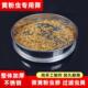 筛子筛网黄粉虫面包虫产卵筛虫粪筛不锈钢养殖筛过滤大麦虫粪筛子