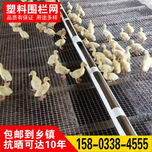 养殖网塑胶网养殖鸡鸭鹅脚垫漏粪网抗老化铺底黑胶网床鸭子脚踩网