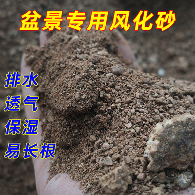 风化砂盆景专用砂土5斤包邮