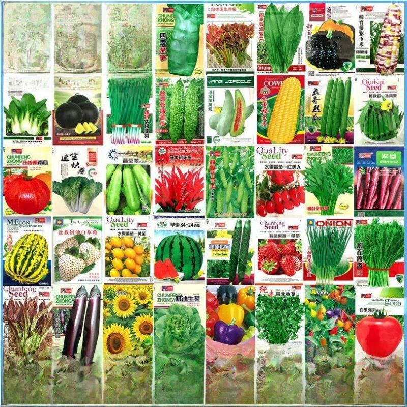 各种蔬菜种子的四季盆栽