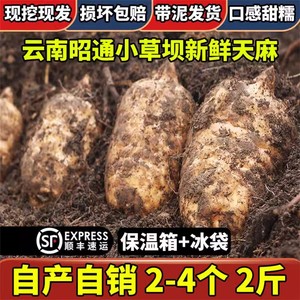 正品云南天麻500g干货新鲜非野生特级片粉正宗中乌种非药材旗舰店