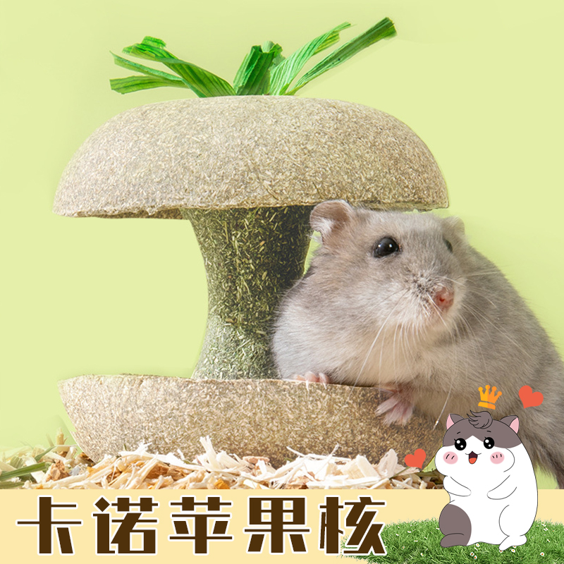 卡诺牛顿苹果核仓鼠金丝熊兔子荷兰猪磨牙神器造景玩具用品可食用