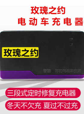 速发玫2之约H动车电瓶6V12AH48V20AH64V600A电72瑰AH5AH