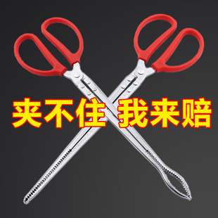 速发不锈钢黄鳝海子鳝鱼夹泥鳅螃赶钳子防滑脱蟹夹神器抓龙虾专用