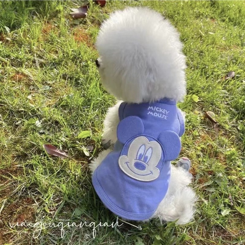 速发薄服泰季衣款法斗雪纳瑞比熊夏迪柴犬西高地透气背心