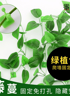 绿萝固定器A1vq001-爬上室内客厅攀爬藤蔓植物爬藤挂钩卡扣园艺工