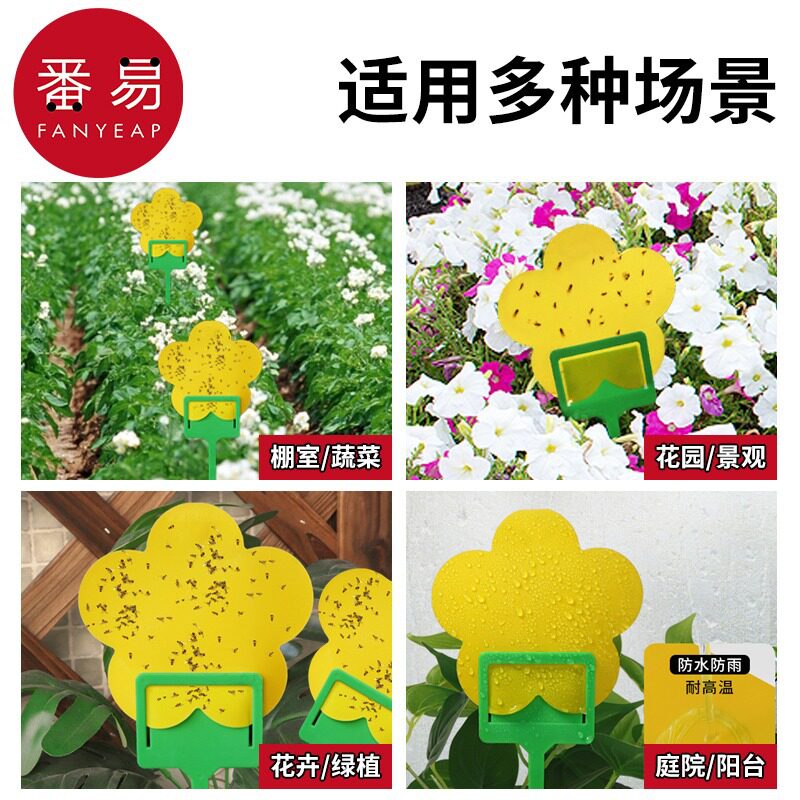 粘虫板B1pq801-小黄板双面小飞虫诱虫沾虫纸果蝇诱捕器防水耐高