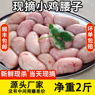 新鲜鸡腰子 散养土鸡腰子 新鲜鸡子公鸡蛋鸡春鸡宝公鸡睾丸中大号