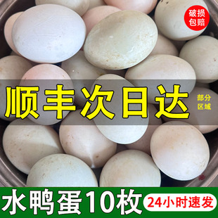 【水鸭蛋】正宗散养土鸭蛋新鲜青壳绿壳浙江农家10枚溪水鸭子蛋顺