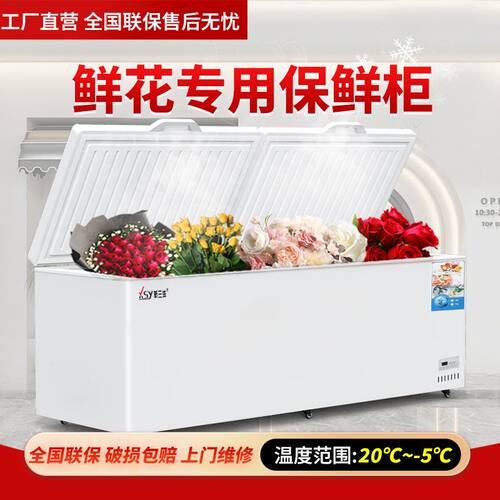 鲜花专用保鲜柜商用大容