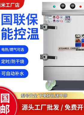 商用蒸饭柜机220v小型全