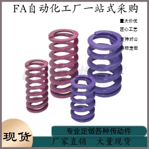 矩形弹簧 YSWC-D10-L55 L60 L65 L70 L75 L80 L90 L100 L125 L300