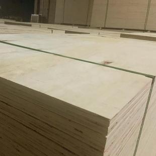 厂家货源18mm杨木胶合板包装板多层板托盘板板材