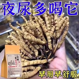 白茅根玉米须茶夜尿多喝它小便次数多官方正品男士女士通用150g